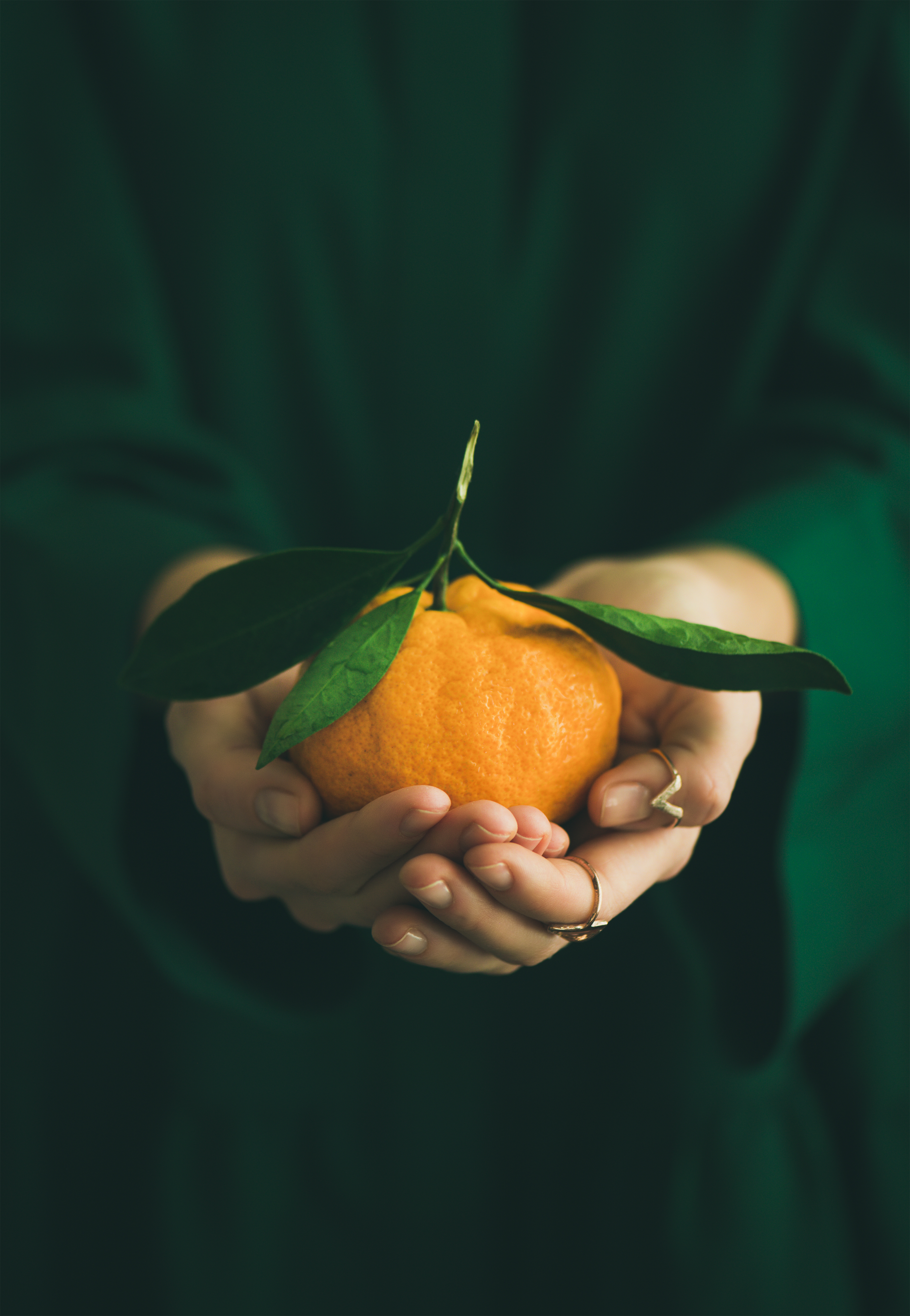 Hands holding a tangerine